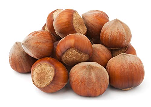 Hazelnoten in de schelp | 2 kg | PREMIUM | Vers, rechtstreeks uit Polen