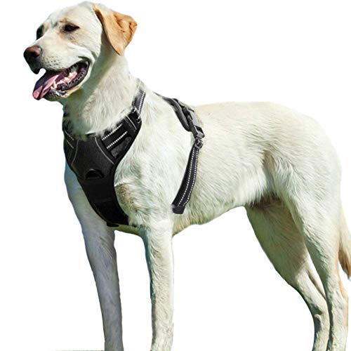 Eagloo Hondentuig Harnas voor Grote Honden Anti Pull Medium Borst Harnas Geen pull Veiligheidsharnas Auto Hondentuig Labrador Puppy Harnas Joggen Breakaway Zacht Gewatteerd Zwart L
