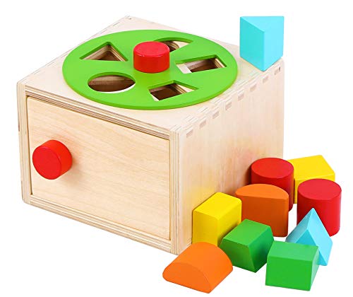 TOWO Houten Shape Sorter - Sorting Box met klink - Rotating Wheel -Screw- en Shape blokken in sets- sorteren Cube educatief speelgoed voor kinderen Early Learning Montessori Materials