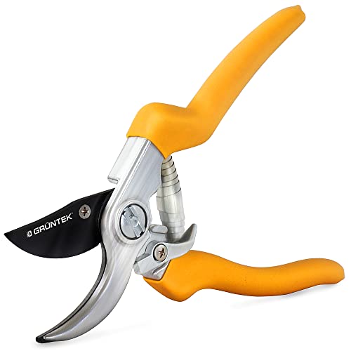 GRÜNTEK Snoeischaar boomschaar GERFALKE met lemmet 48 mm van Japans SK5 staal, plantenschaar teflon gecoat, Comfort Bypass wijnstok rozenschaar. 45 dagen - tevredenheidsgarantie!