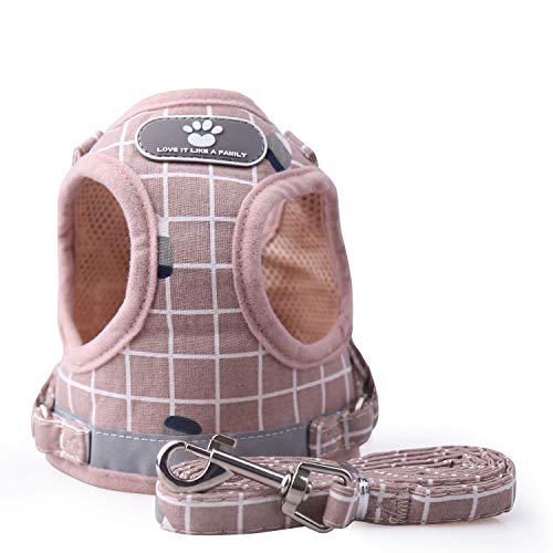 KINGLEAD Hondentuig Hondentuig voor kleine honden Lauf Hondentuigen Kattenharnas ， Hondentuig met riem ， Puppyvest Reflecterende harnaslijnset Har Hondentuig ， Verstelbaar hondenvest