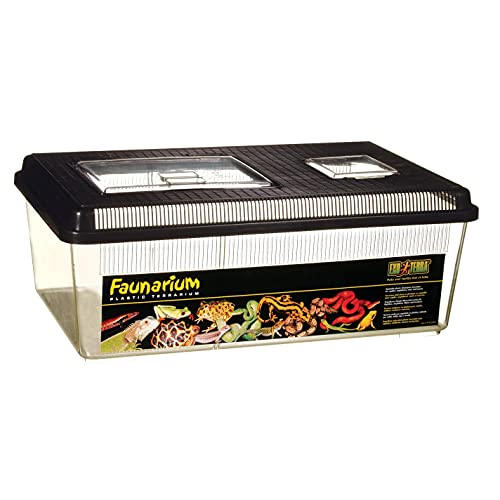 Exo Terra Faunarium, multifunctionele container voor reptielen, amfibieën, muizen en insecten, groot plat, 46,5 x 30,5 x 18 cm 