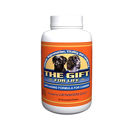 The Gift For Life For Dogs - The Fountain Of Youth For Pets - 60 Gourmet Chewable Treats - Made In The USA