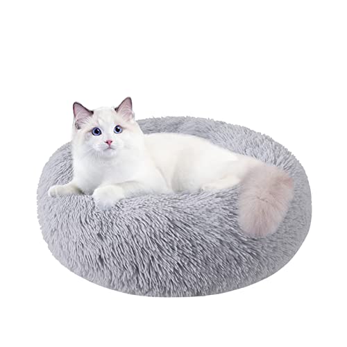 Cat Beds for Indoor Cats, 20 Inch Small Dog Bed for Small Dogs Washable-Round Pet Bed for Puppy and Kitten with Slip-Resistant Bottom