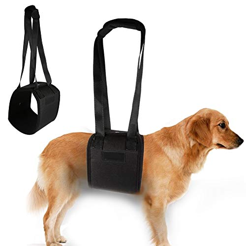 Hondentuig Hondendrager Loophulp Loophulp Hond voor revalidatie van de ruggengraat-, heup- en kniegewrichten van de hond (L)