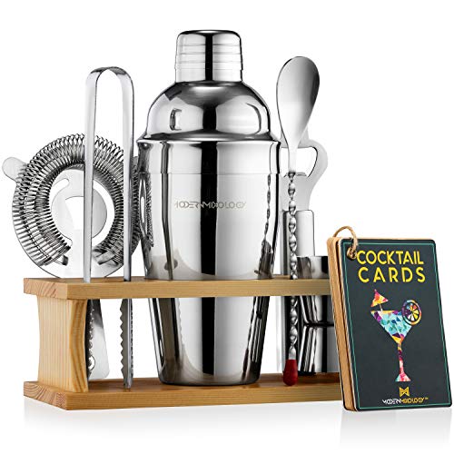 Mixology Bartender Kit with Stand | Silver Bar Set Cocktail Shaker Set for Drink Mixing - Bar Tools: Martini Shaker, Jigger, Strainer, Bar Mixer Spoon, Tongs, Opener | Gift Idea