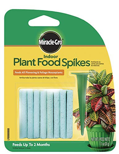 Miracle-Gro Indoor Plant Food Spikes, Includes 24 Spikes - Continuous Feeding for all Flowering and Foliage Houseplants - NPK 6-12-6 