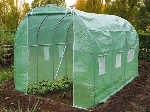 Tuinkas, tunnel, broeikas, kas, tunnel, 6 m², van verzinkt staal, broeikas, groen, ideaal voor het schuiven en beschermen van je planten in alle seizoenen