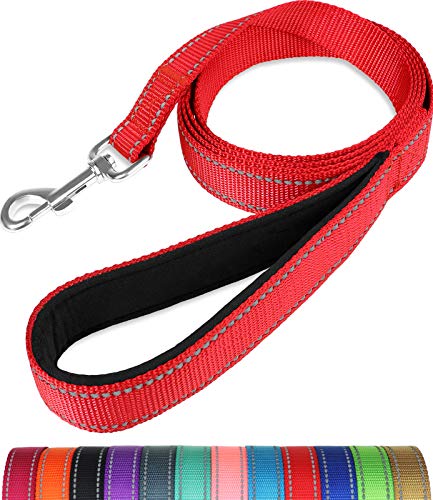 Taglory Hondenriem reflecterend met zacht gevoerde handgreep en metalen haak, robuuste hondenriem voor kleine middelgrote en grote honden, 180 cm, rood