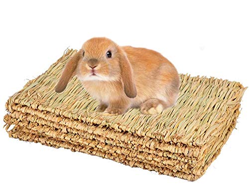 CAMITER 4-pack geweven bedmat voor konijnen, grasmat beddengoed nest voor konijnkonijnkonijn kauwspeelgoed geweven bedmat voor cavia papegaai Chinchilla eekhoorn hamster kat hond en klein dier