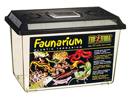 Exo Terra Faunarium, multifunctionele container voor reptielen, amfibieën, muizen en insecten, groot, 37 x 24,5 x 22 cm 