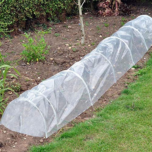 chinejaper Tunnel Foliekas PE afdekking met stalen frame, winterbestendige folietunnel, lengte 500 cm, breedte 60 cm, hoogte 40 cm