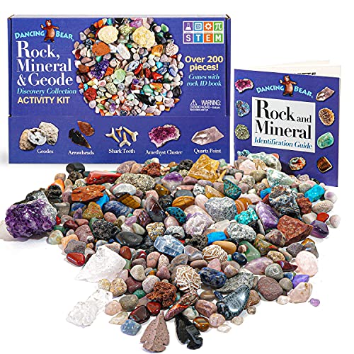 DANCING BEAR Rock & Mineral Collection Activity Kit (200+Pcs) with Geodes, Shark Teeth Fossils, Arrowheads, Crystals, Gemstones for Kids, Rock Book, Treasure Hunt ID Sheet, STEM Education, Made in USA 