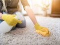 Tapijt reinigen: Doeltreffende tips en trucs