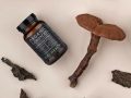 Cordyceps: Wat zijn de beste producten van (10/22)?