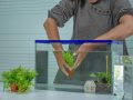 Beste Nano Aquarium: Winkelgids en Aanbevelingen (12/22)